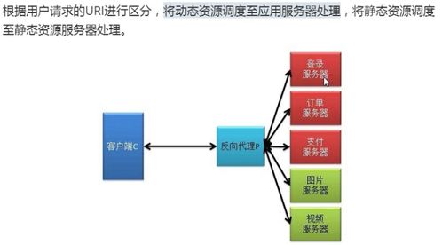 ngxin代理服務基本概述