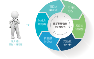 科研咨詢(xún)與技術(shù)服務(wù) 構(gòu)建創(chuàng)新生態(tài)的關(guān)鍵雙翼